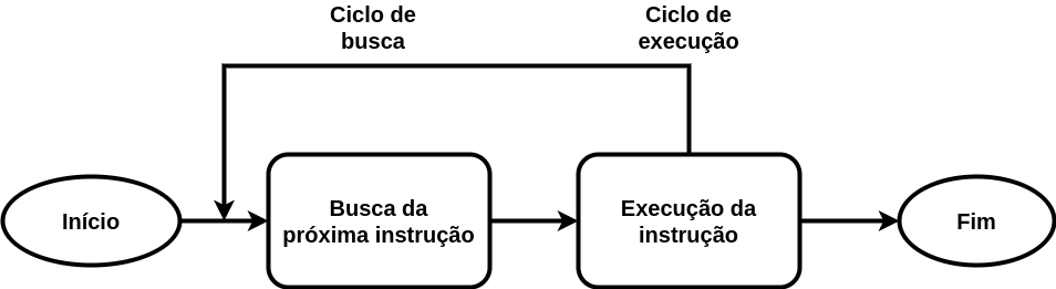 O Ciclo de Instrução